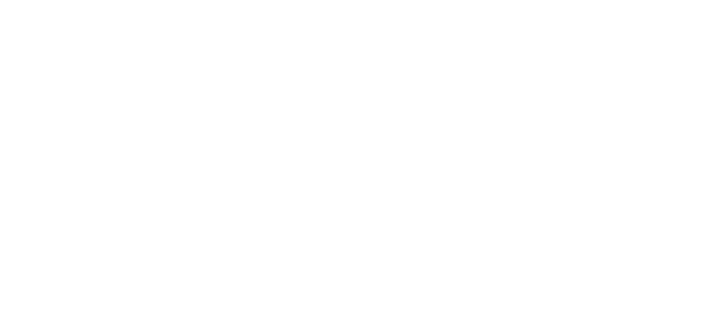 Boscov's logo