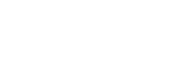 Buffalo Jeans logo