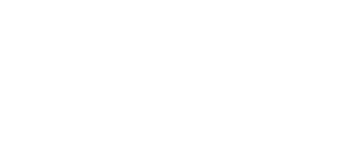 Buy Auto Parts logo