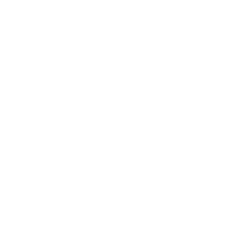 Chemical Guys logo