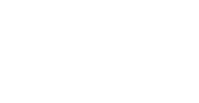 Chick's logo