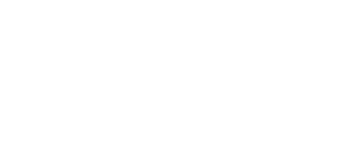 CPO Outlets logo