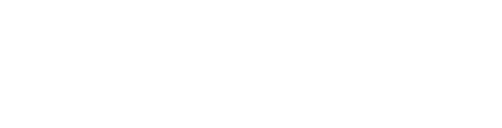 Flat Tummy Co logo