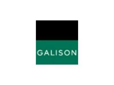 Galison logo