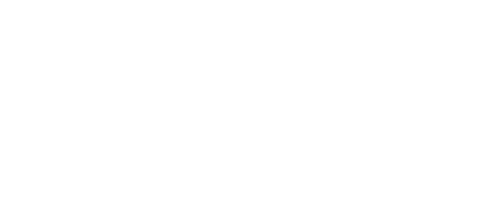 Laura Geller logo