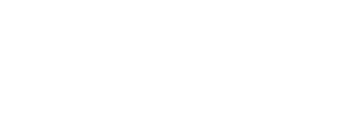 LuLus logo