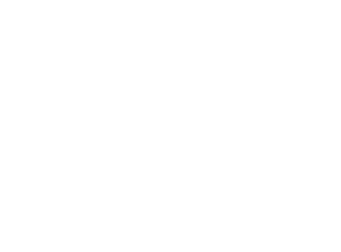 New Era logo