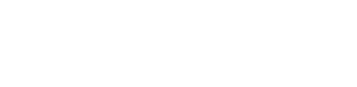 Nintendo logo