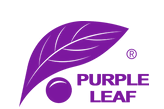 Purple Leaf logo