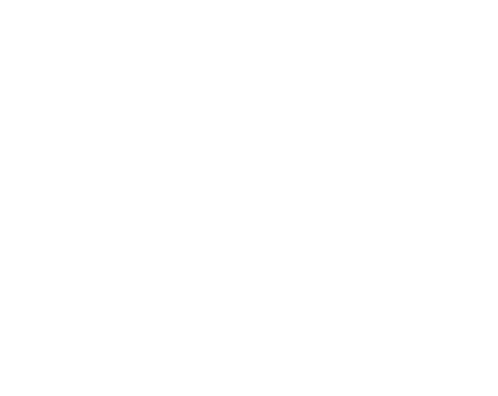 Pyramid Collection logo