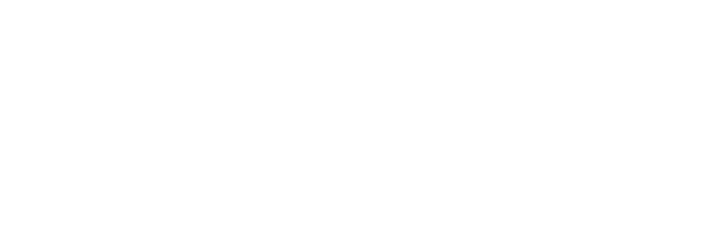 Sonic Electronix logo