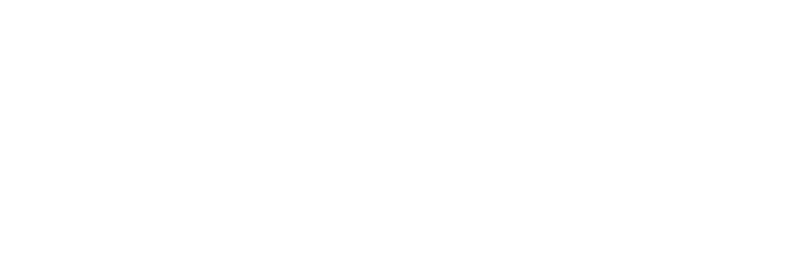 Touch of Modern logo