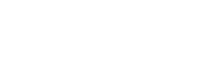 ECCO logo