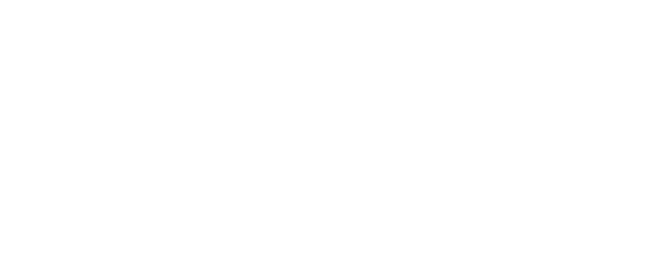 Vans logo