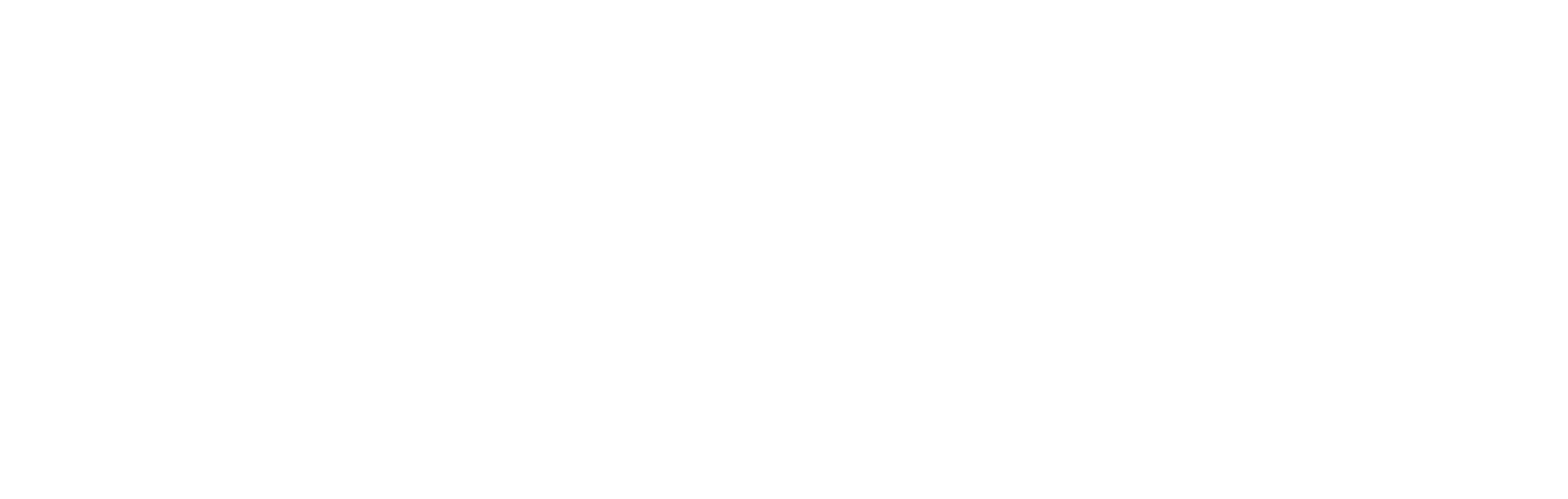 White House Black Market logo